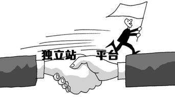 四、 防范独立站代运营诈骗风险