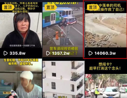 案例分析：帅农鸟哥的抖音之路