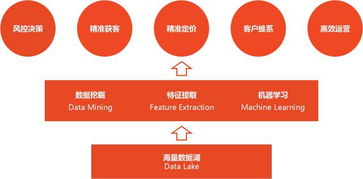 定期监测与调整：动态优化推广策略