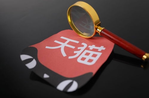 推广的重要性与天猫新店的推广策略