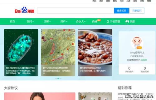 4. 闲鱼引流广告联盟