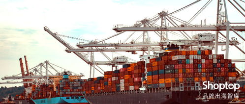 提单：货物运输的凭证， 确保货物平安抵达目的地