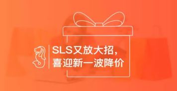 Shopee新加坡站运营技巧