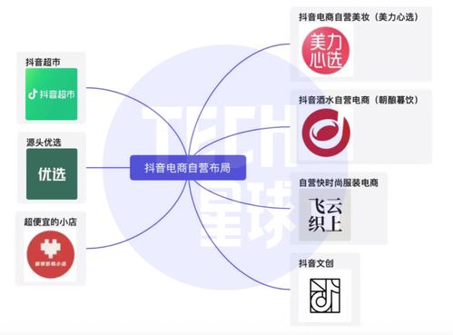 美妆行业：潜力巨大， 吸引各大平台竞相布局