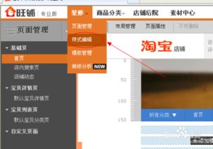 一、 淘宝旺铺专业版概述