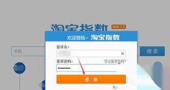 二、 淘宝排行榜指数是什么?