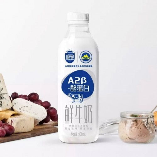 系统重构：从静态保障到动态响应