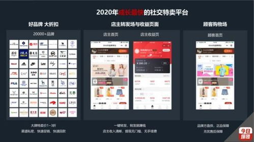 二、 Tiki平台入驻条件