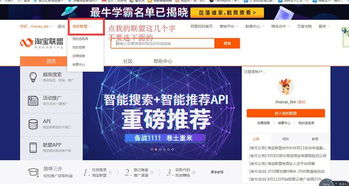 四、 使用规则与商品限制