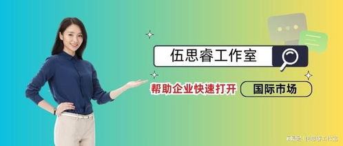 核心步骤五：搜索引擎优化(SEO)与付费搜索广告