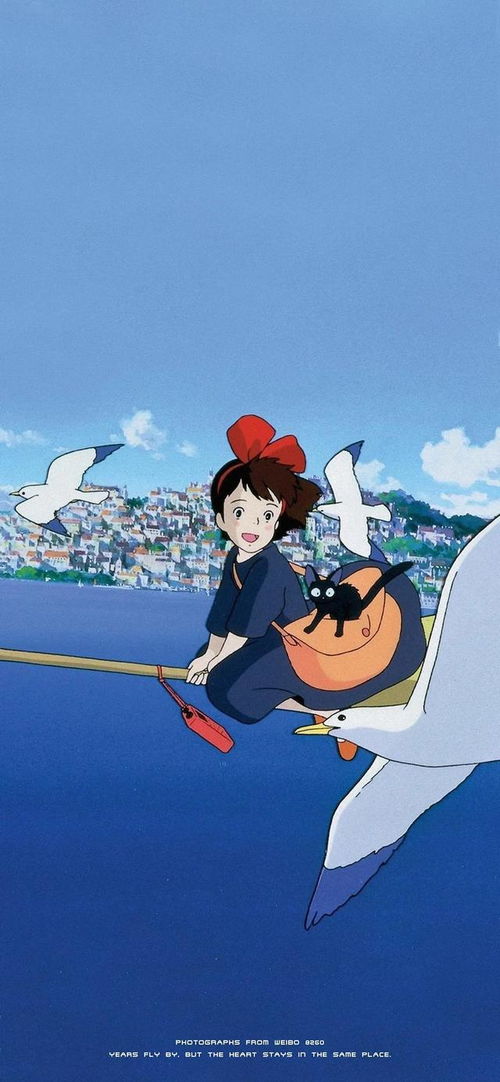 2. 黑猫宅急便（Nippon Express）