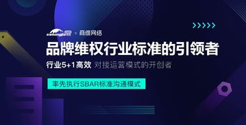 1. 建立专业店铺