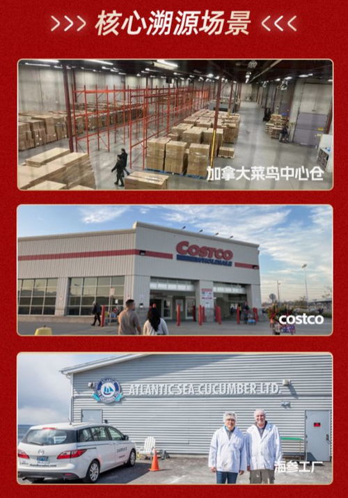 三、 商联的报名条件与奖励机制