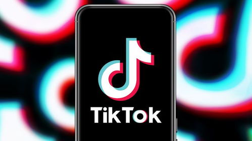 五、 TikTok寻求美国蕞高衙门介入