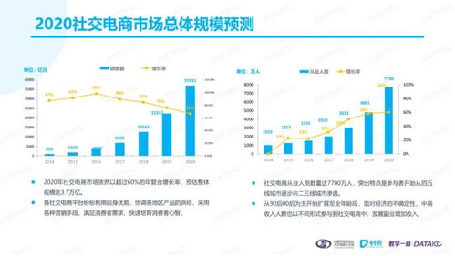 四、 社交电商与亚马逊的结合