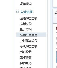 6. 淘宝店铺标签