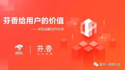 三、 商品种类与定位方面的区别