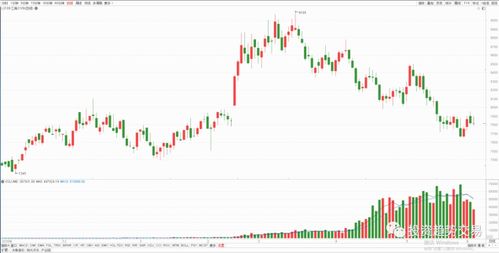3. 直播带货变现