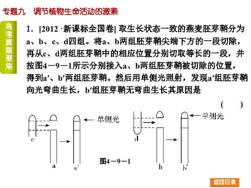 易腐性与时效性对头程运输策略的影响