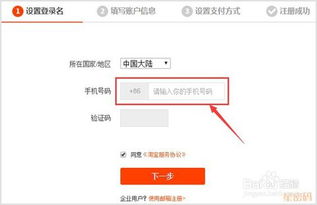 二、 开店流程：从零开始，一步步打造您的电商帝国