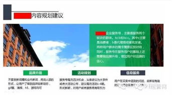 3. 内容的精心策划