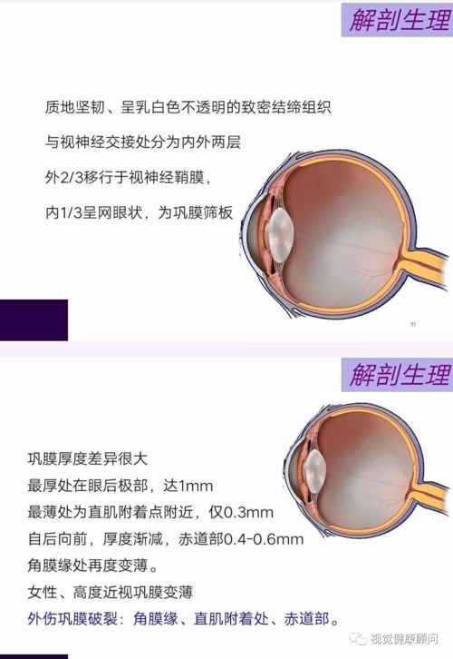 明确具体、 内容相关、有吸引力和感染力