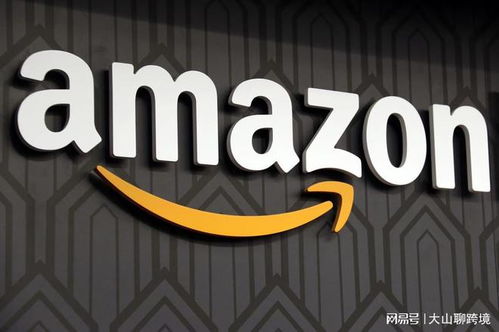 详细的描述文字， 突出卖点