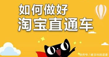 直通车流量入口