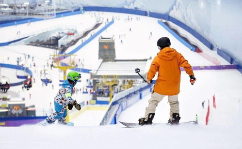 产品选择：布局冰雪市场的关键