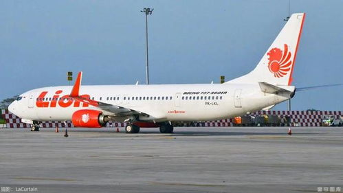 狮航航线与服务