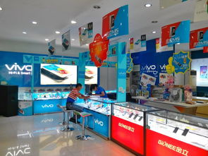 2. 经营主体上的区别