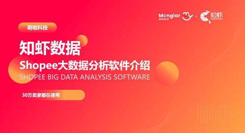 六、竞争分析工具的辅助作用