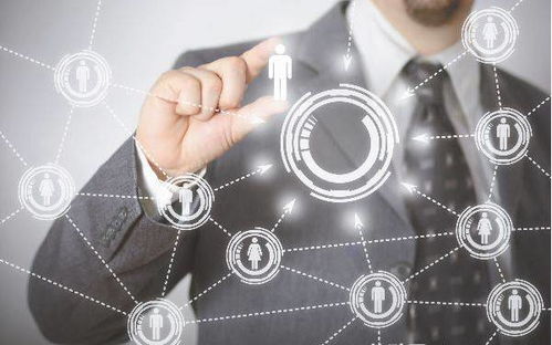 家居智嫩品牌石头科技的YouTube营销案例