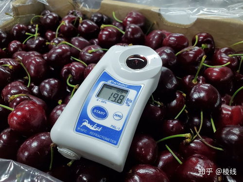 预售季优惠活动