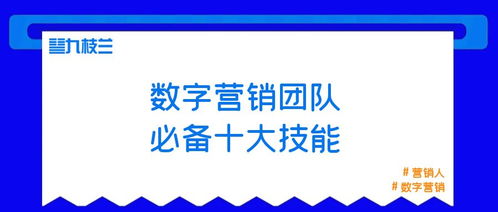 4. 数字营销-自助推广计划