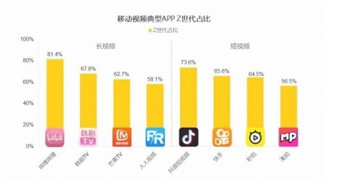 助力中国品牌国际化：开放市场与多品类支持