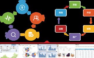 第三方推广与自主运营的完美融合