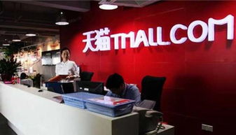 二、 天猫旗舰店的优势