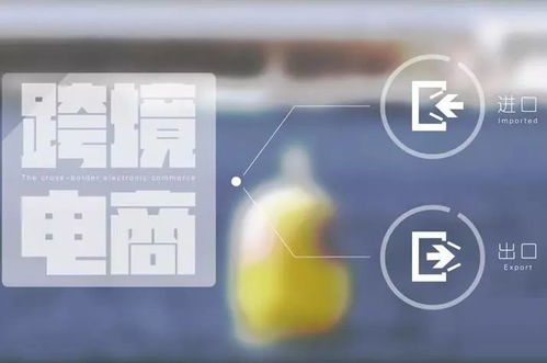 深入理解与遵守税法规定