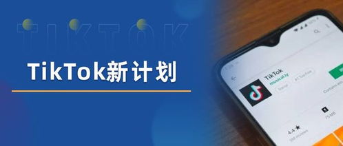 内容策划：结合产品特性与市场需求，创作具有吸引力的短视频内容。