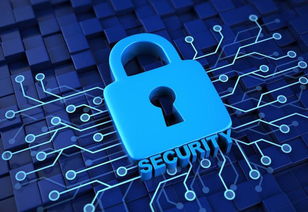 使用虚拟专用网络加密数据传输， 确保支付信息平安