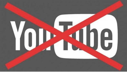 3. 导视广告（Bumper Ad）