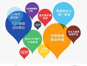 定制化网站搭建， 满足客户需求