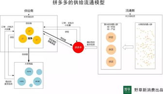 年龄限制背后的原因解析