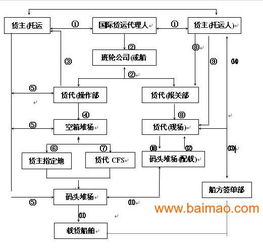 6. 目的港清关与提货