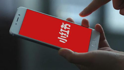 三、如何申请开通京东商选？