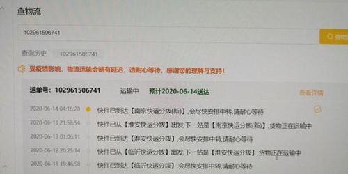 通关预审：简化流程，缩短通关时间