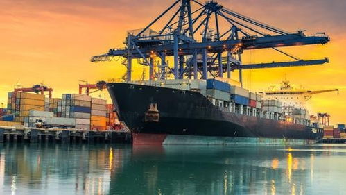 选择程载，让你的货物在中美海运中一路畅通！