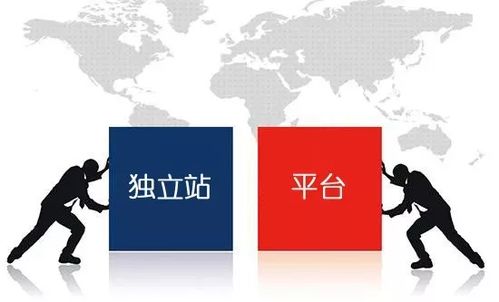 二、独立站VS第三方平台：谁是你的真香定律？