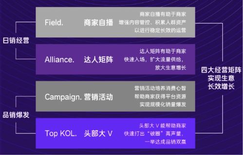 调整影响及应对策略